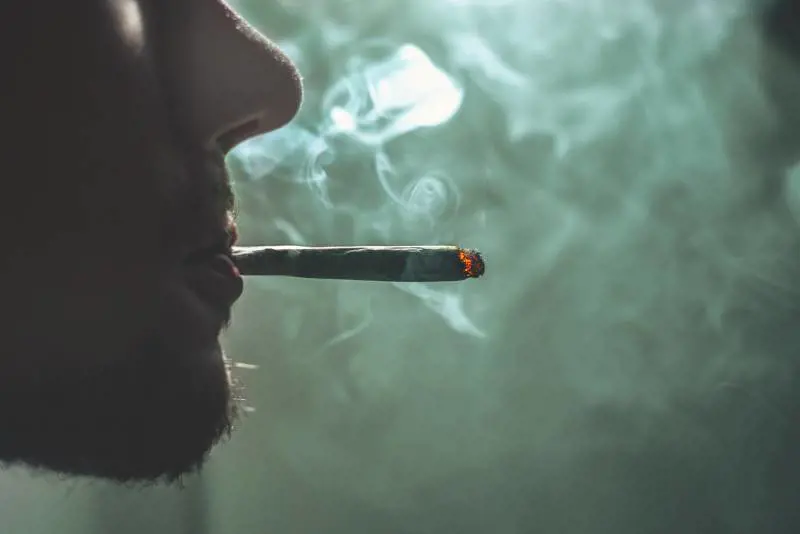 Lago Maggiore, va al voto con l'hashish: segnalato 29enne