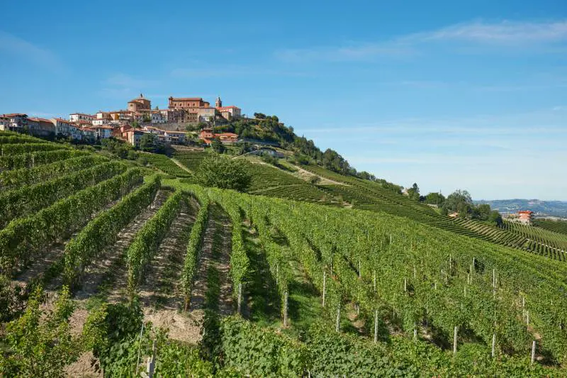 Gita enologica a La Morra patria di Barolo e brasato