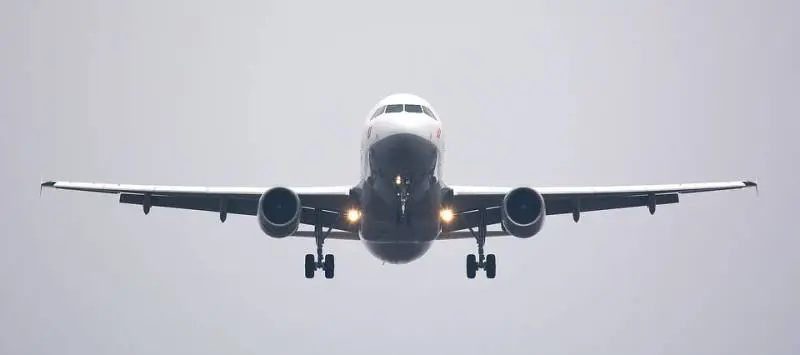 Atterraggio di emergenza a Linate: stormo di uccelli nel motore