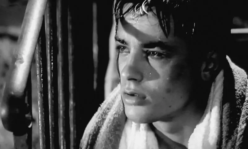 Alain Delon colpito da emorragia cerebrale: "Condizioni stabilizzate"