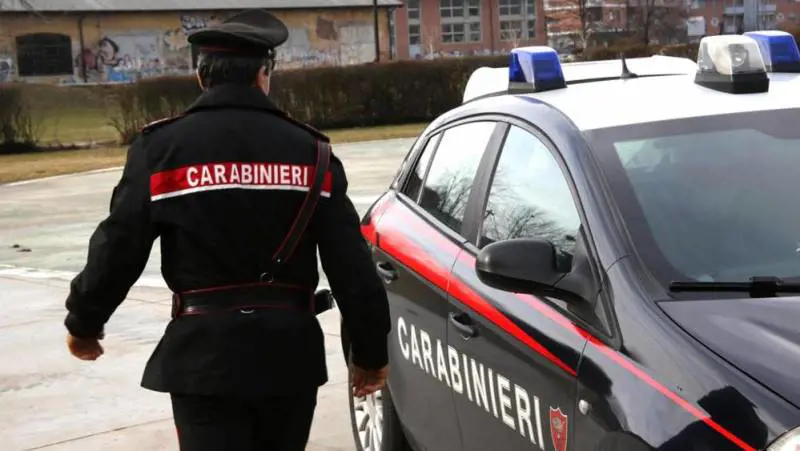 Nas in azione nel Napoletano: sequestrati dolci, prodotti caseari e pesce avariati