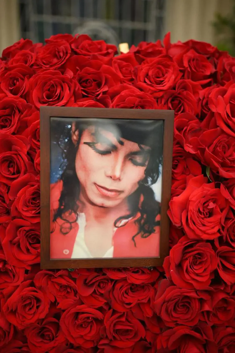 Immagine gallery