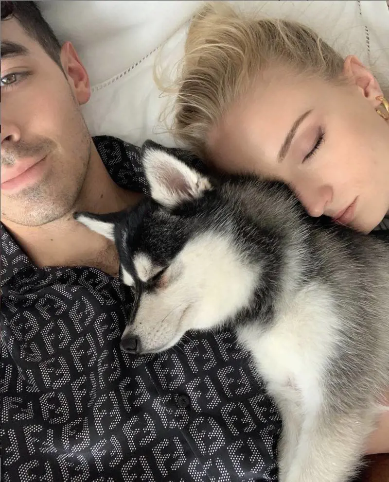 Joe Jonas e Sophie Turner in Francia per i fiori d’arancio