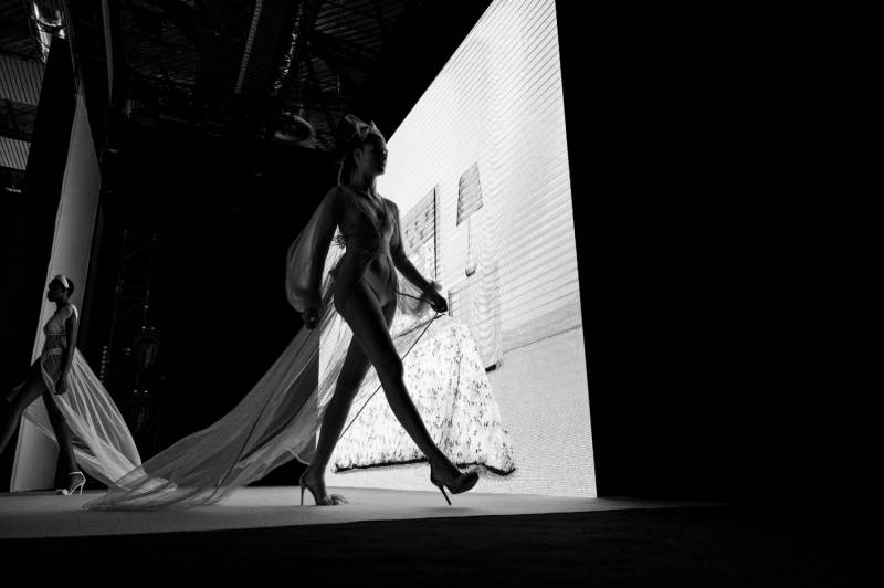 Immagine gallery