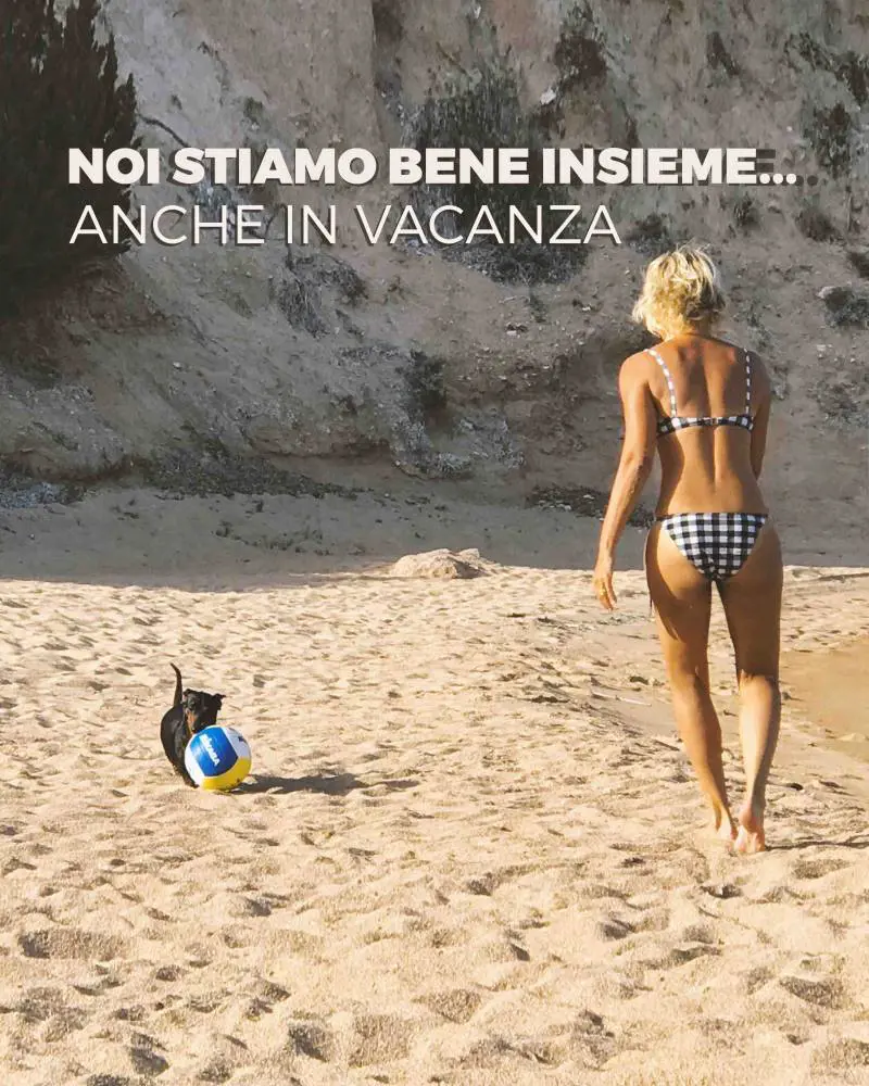 Immagine gallery