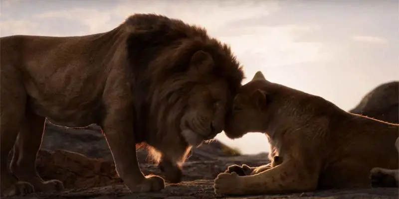 "Re Leone è un atto d'amore che difende la vera natura"