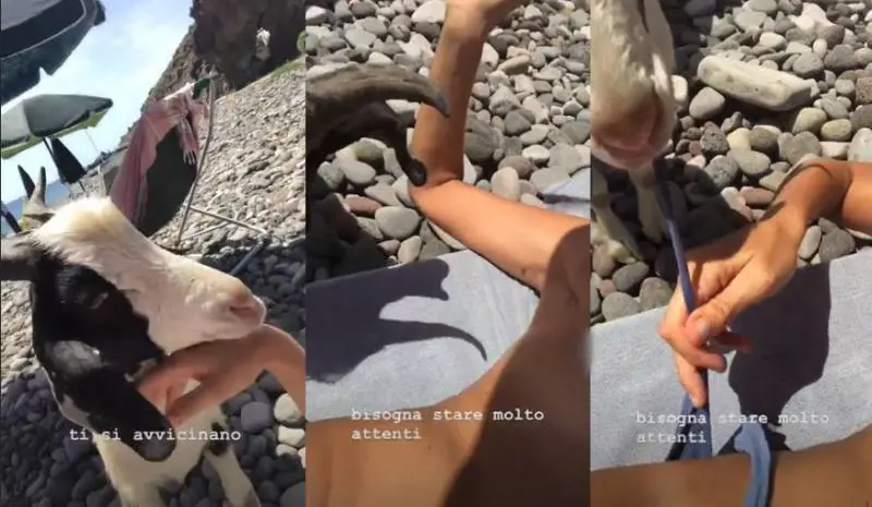 Marina La Rosa topless all'Eolie. Ma la capra le mangia il costume
