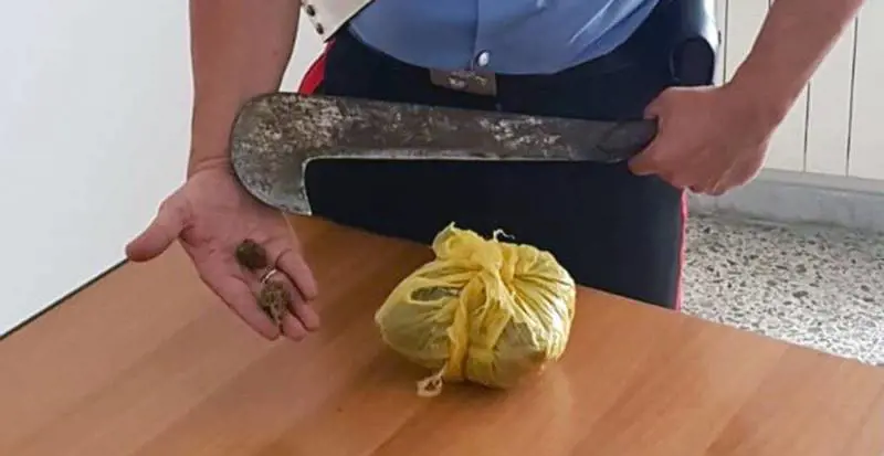 In auto con una roncola e la droga: arrestato