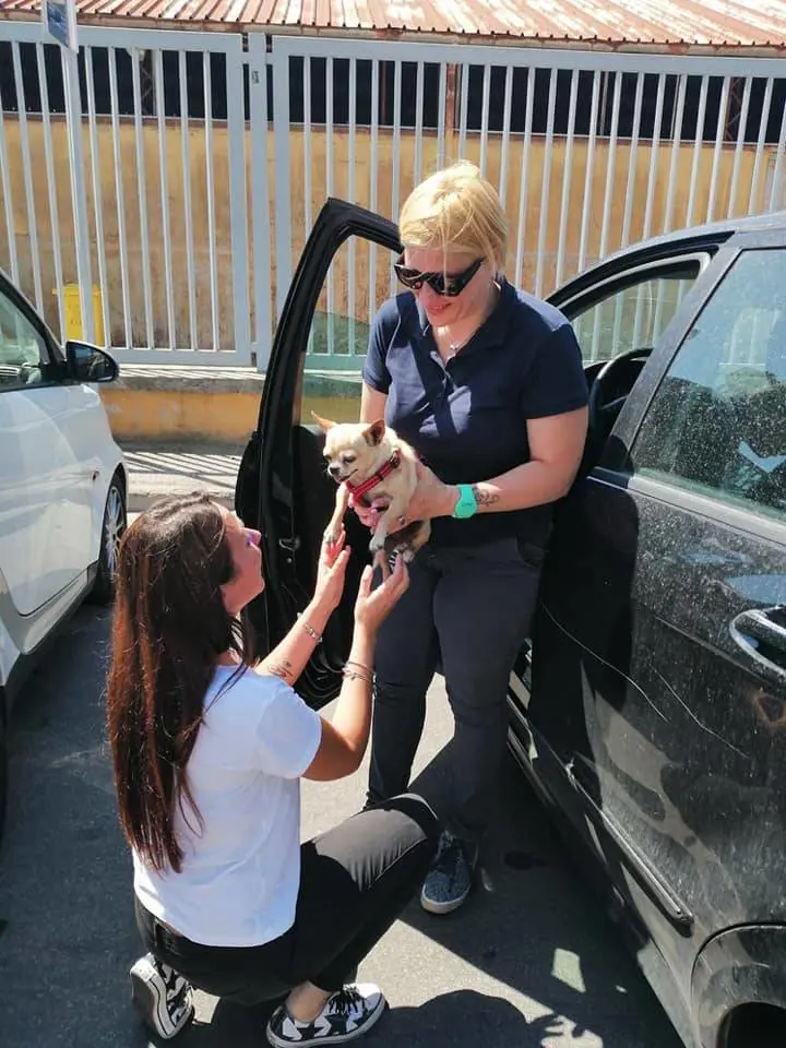 Latina, riabbraccia il cagnolino scomparso da 8 anni