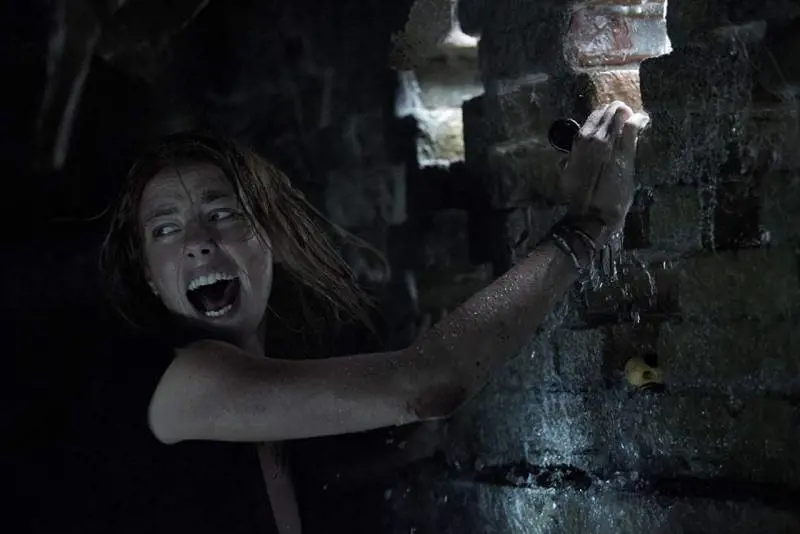 Convince "Crawl - Intrappolati", 90 minuti in ostaggio di coccodrilli