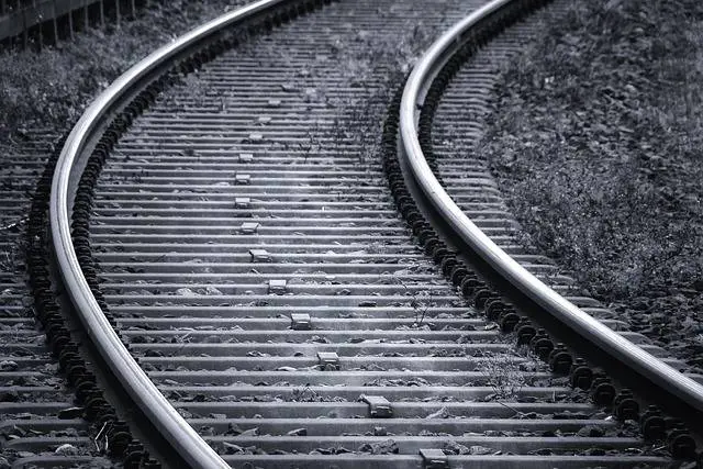Mestre, si butta sotto il treno davanti alla madre: morto a 19 anni