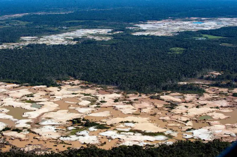 Amazzonia nel fuoco: mai così tanti incendi. E l'Europa congela i fondi per conservarla