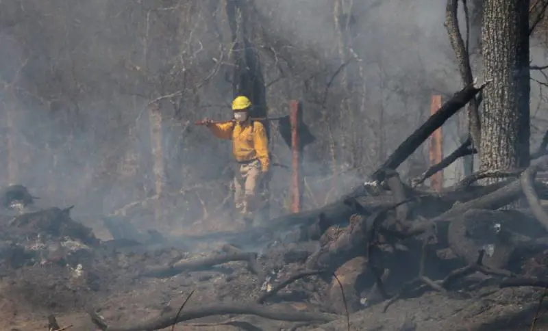 L'Amazzonia incendia il G7, Macron attacca Bolsonaro: "Ha mentito sul clima"