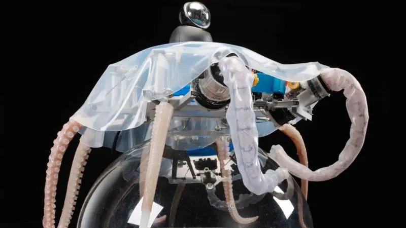 "Mi sono ispirata ai polipi e ho creato il robot del futuro"