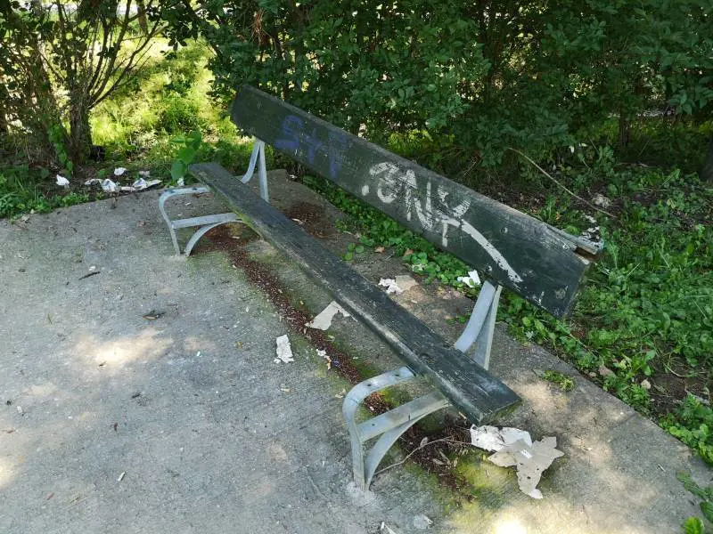 Immagine gallery