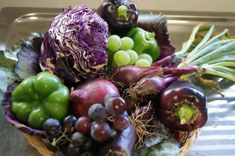Mal d'autunno, come contrastarlo con l'alimentazione