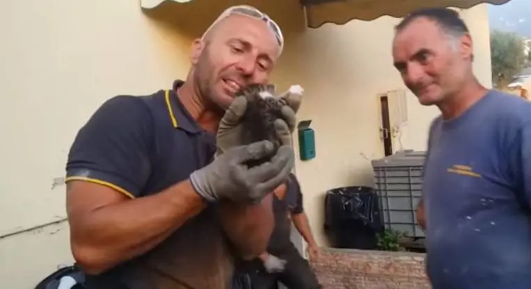 Pompiere salva il gattino e poi scoppia in lacrime