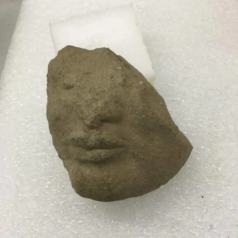 A Paestum spunta una testa tardo-arcaica
