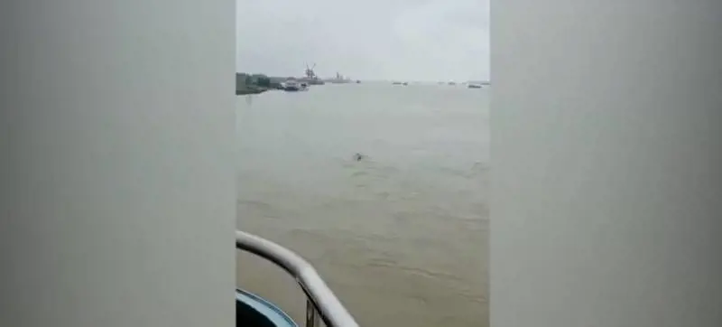 Cina, avvistato "parente" del Mostro di Loch Ness