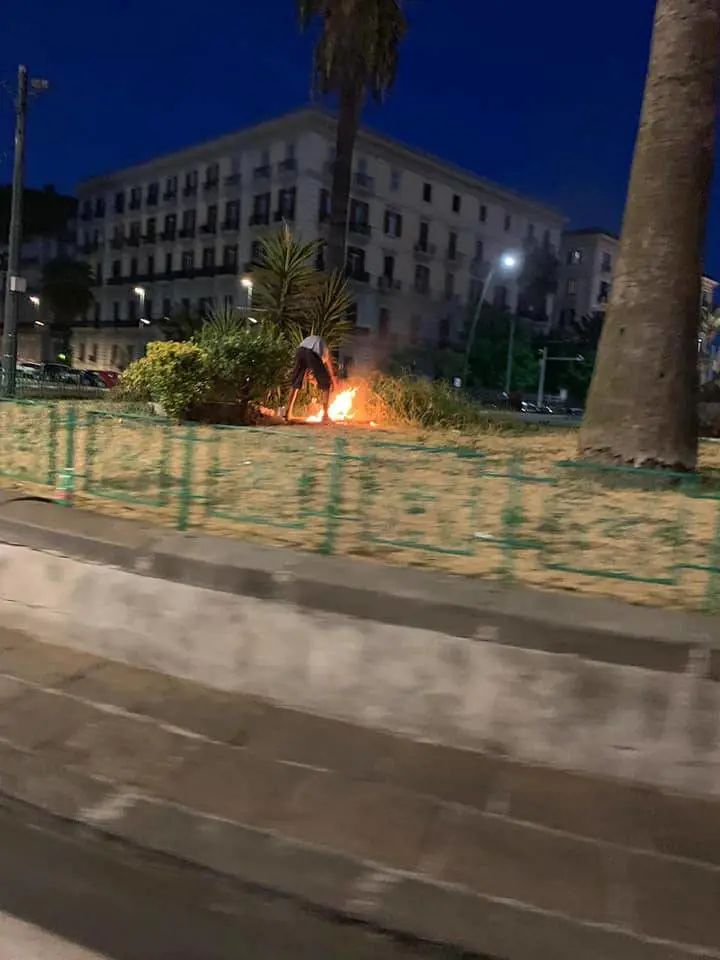 Napoli, lavavetri urinano e appiccano fuochi in un'aiuola in pieno centro