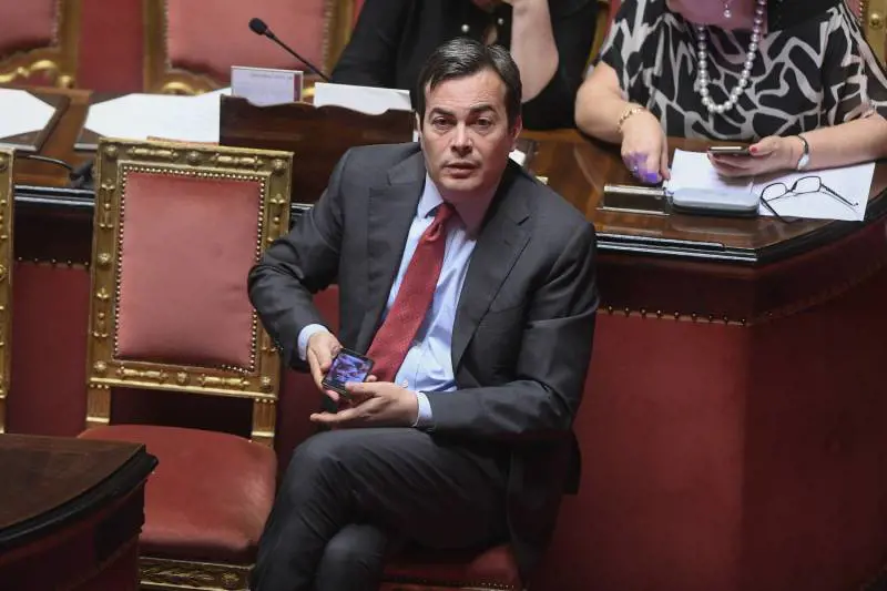 FdI attacca ministro Amendola: "Non esclude di finire sul libro paga di Paese estero"