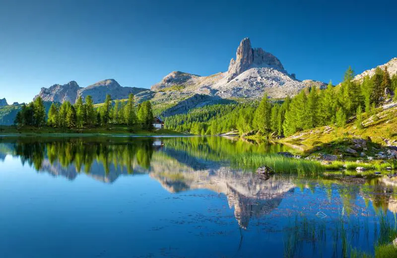 Vinse la causa milionaria, ma si toglie la vita buttandosi nel lago