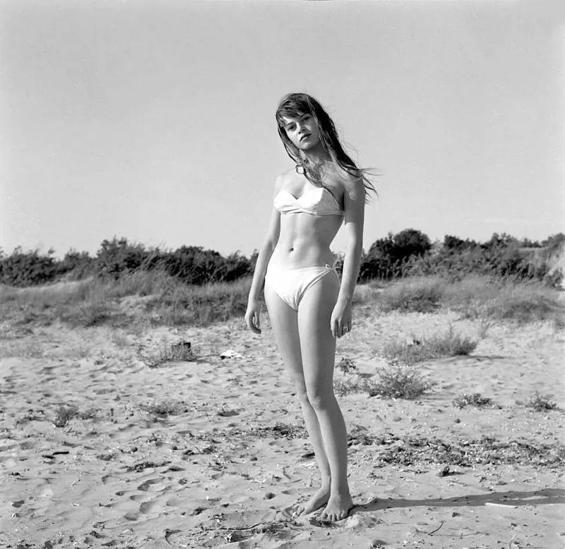 Immagine gallery