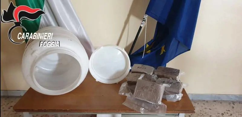 Foggia, trovati in campagna otto chili di kobret
