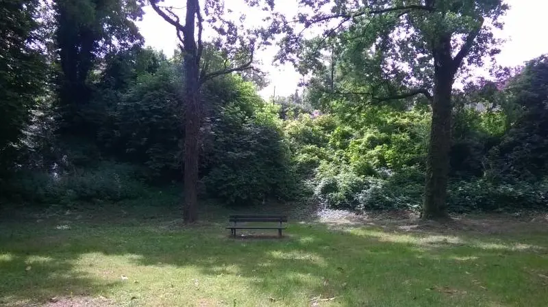 Pratica autoerotismo nel parco davanti a due 15enni: denunciato