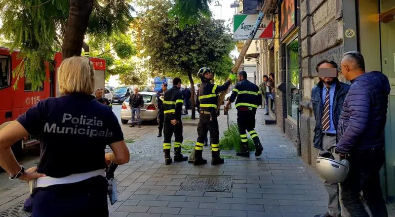 Cade un ramo sul marciapiede di corso Secondigliano, ferita una donna