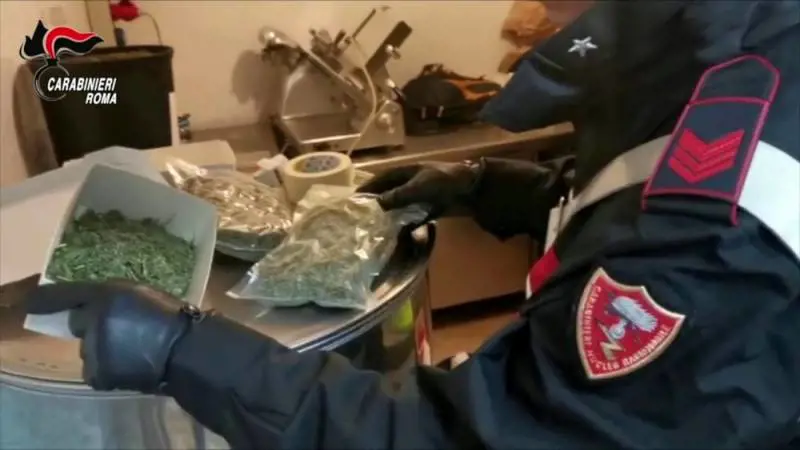 Roma, scoperta piantagione di marijuana a due passi da Villa Adriana
