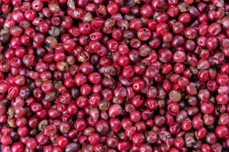 Allergie alimentari: attenzione alle spezie