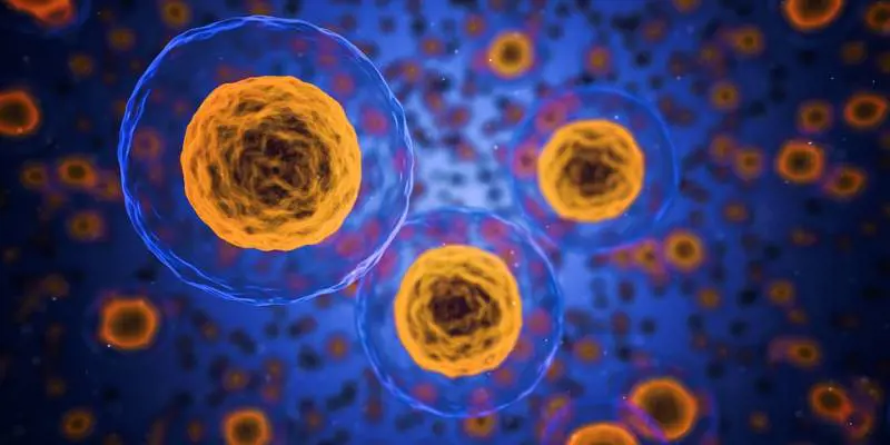 Lotta ai tumori: in arrivo un nuovo sistema di immunoterapia