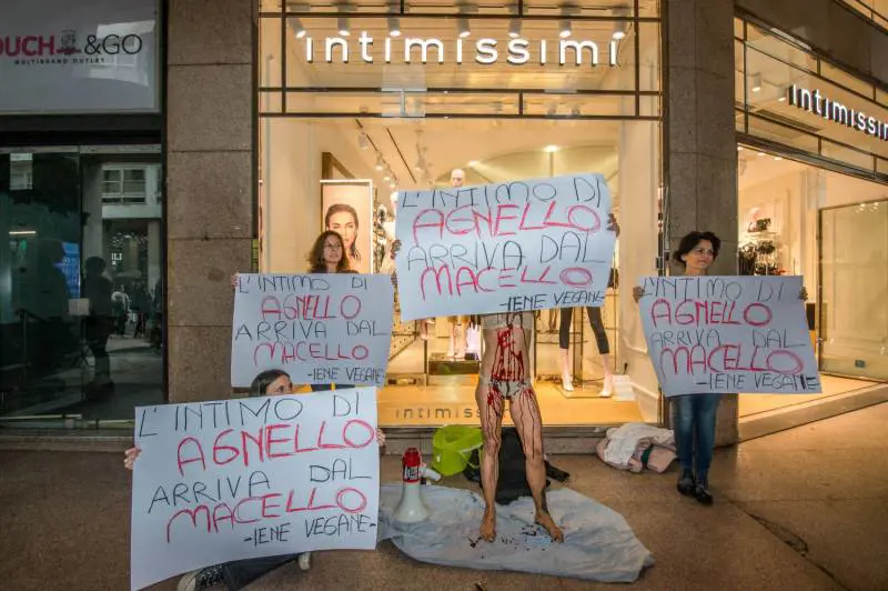 Immagine gallery