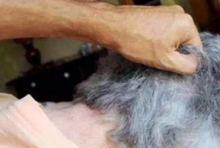 Caserta, picchia genitori e sorella per soldi: arrestato 49enne