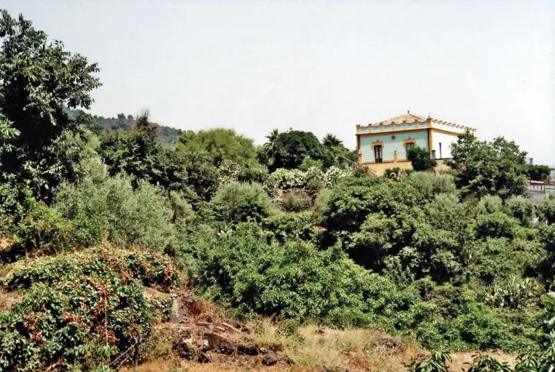 Immagine gallery