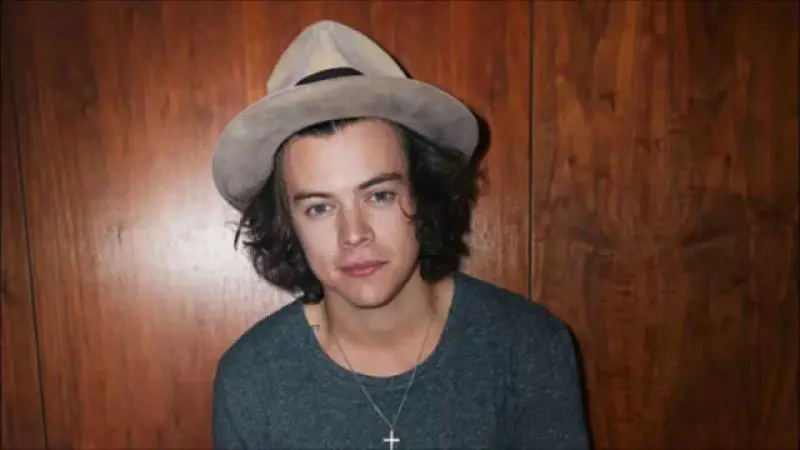 Harry Styles congela i propri vestiti