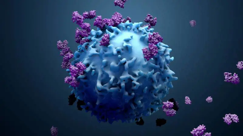 Cancro, i ricercatori inglesi vogliono ricostruire il "primo giorno di vita" della malattia
