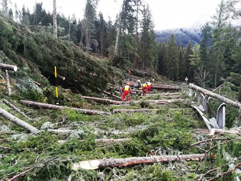 Tempesta Vaia, FederlegnoArredo e Assolegno con Filiera Solidale