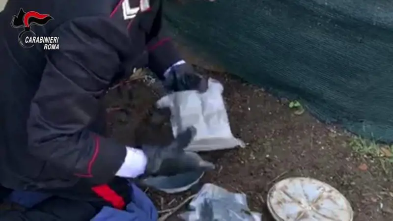 Sequestrati 25 chili di droga, blitz tra Ostia e Acilia