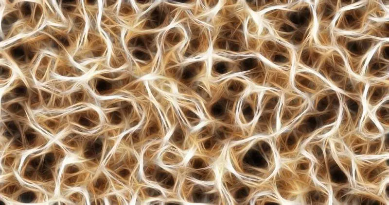 Morbo di Alzheimer: approvato in Cina farmaco a base di alga bruna