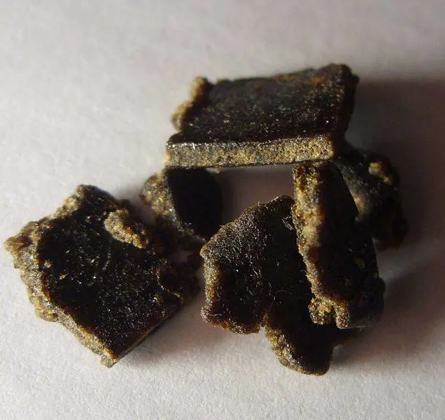 Il richiedente asilo? Un pusher che vende droga ai minorenni