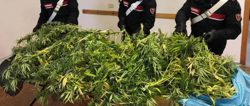 Sullo scooter con due sacchi pieni di marijuana