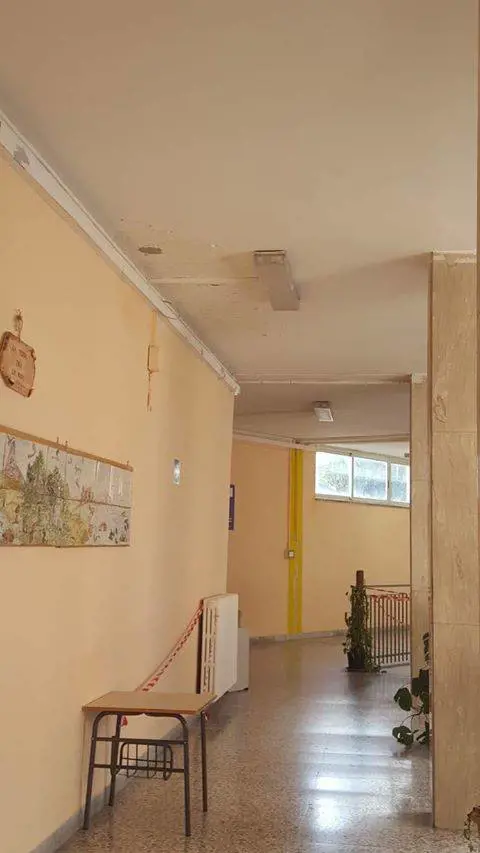 Immagine gallery