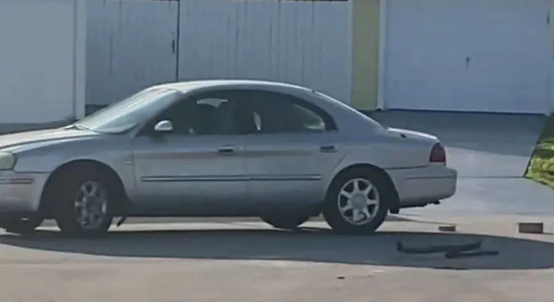 Florida, incredibile ma vero: cane "guida" per un'ora un'auto in retromarcia