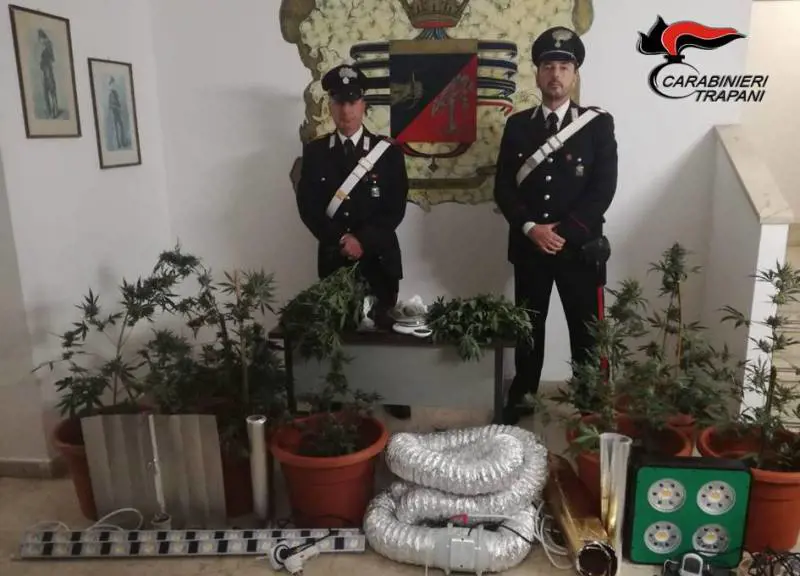 Coltivavano marijuana destinata allo spaccio, arrestati due marsalesi