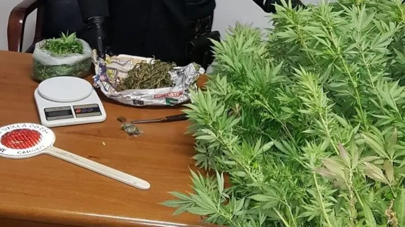 Ladispoli, preso spacciatore: in casa aveva un chilo di erba