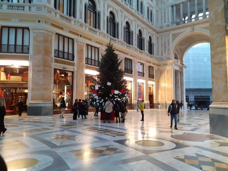 Immagine gallery