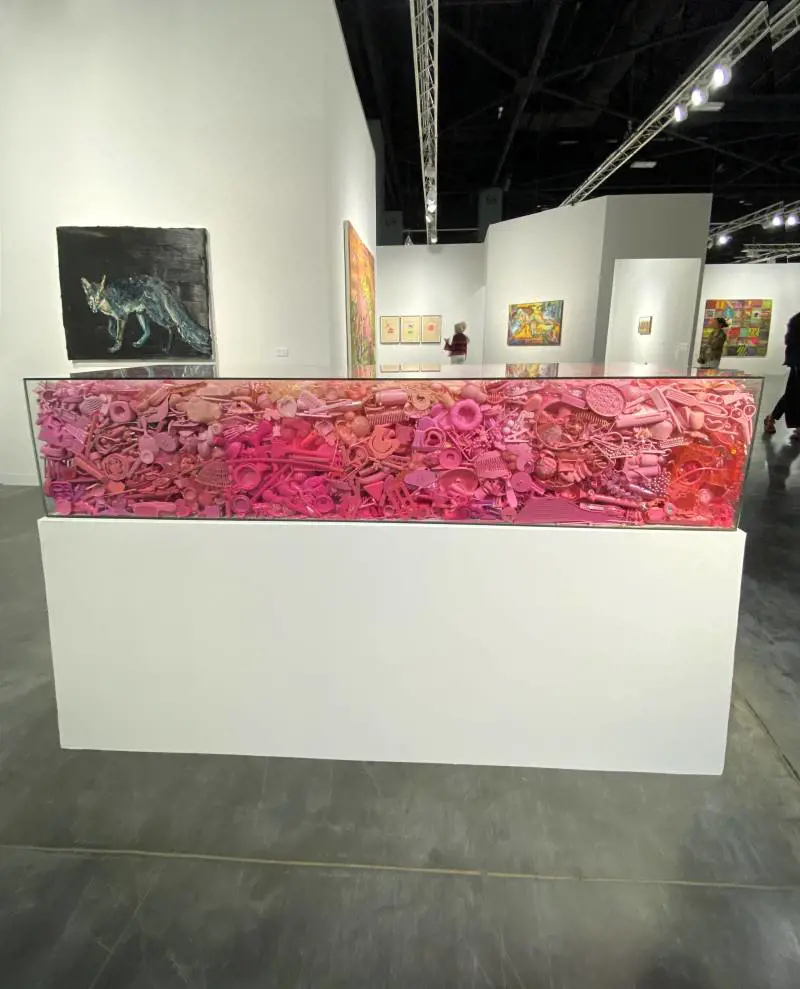 Immagine gallery