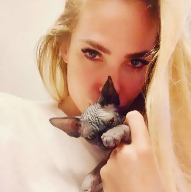 Ilary Blasi presenta l'ultima arrivata in famiglia, ​i follower non gradiscono: "Sembra un pipistrello"
